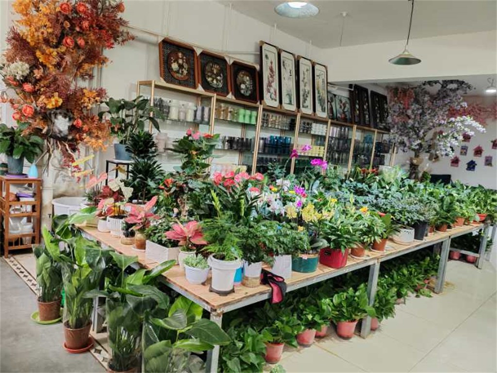 博思花藝婚慶教育，婚慶培訓(xùn)，花藝培訓(xùn)，插花培訓(xùn)，花藝師培訓(xùn)，主持人培訓(xùn)，商務(wù)主持人培訓(xùn)，花店運(yùn)營培訓(xùn)，花店全系統(tǒng)營銷，小白開花店，小白學(xué)主持，金璽棠婚慶酒店，金璽棠總部，鄭州金麻雀教育科技有限公司