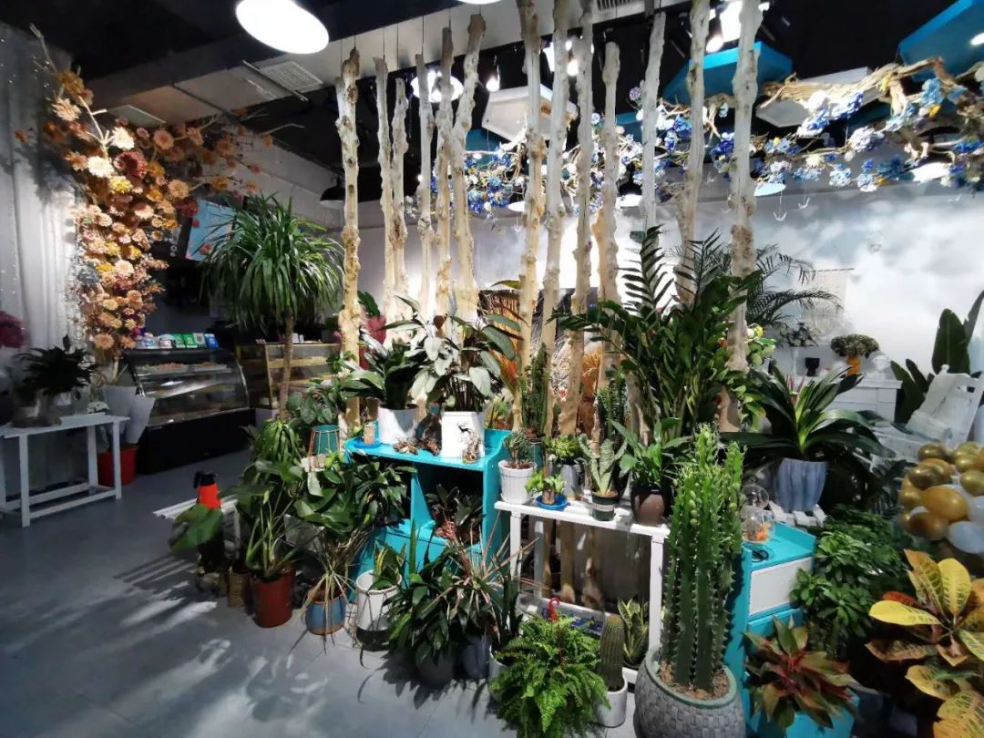 博思花藝婚慶教育，婚慶培訓(xùn)，花藝培訓(xùn)，插花培訓(xùn)，花藝師培訓(xùn)，主持人培訓(xùn)，商務(wù)主持人培訓(xùn)，花店運(yùn)營(yíng)培訓(xùn)，花店全系統(tǒng)營(yíng)銷，小白開(kāi)花店，小白學(xué)主持，金璽棠婚慶酒店，金璽棠總部，鄭州金麻雀教育科技有限公司