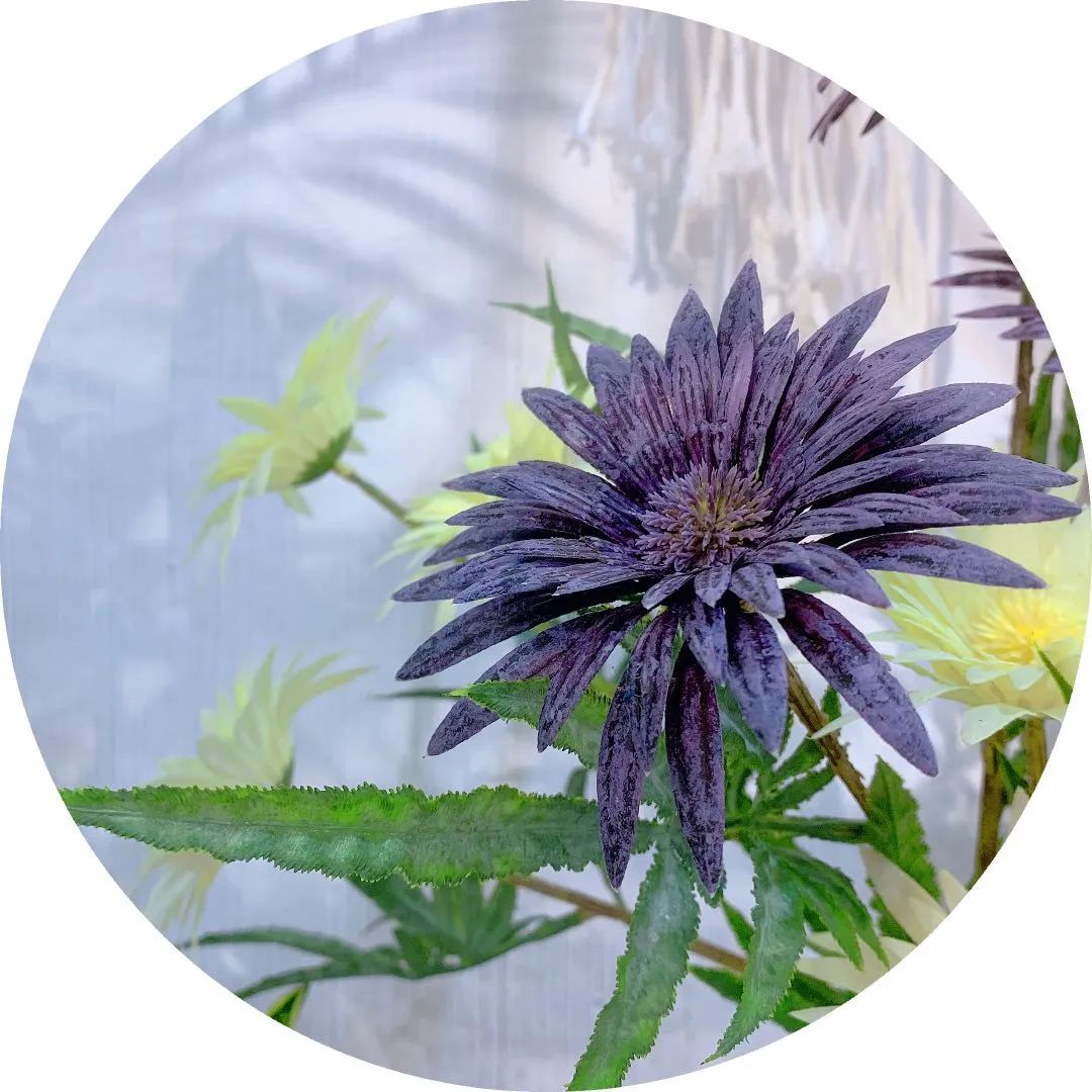 博思花藝婚慶教育，婚慶培訓(xùn)，花藝培訓(xùn)，插花培訓(xùn)，花藝師培訓(xùn)，主持人培訓(xùn)，商務(wù)主持人培訓(xùn)，花店運(yùn)營(yíng)培訓(xùn)，花店全系統(tǒng)營(yíng)銷，小白開(kāi)花店，小白學(xué)主持，金璽棠婚慶酒店，金璽棠總部，鄭州金麻雀教育科技有限公司