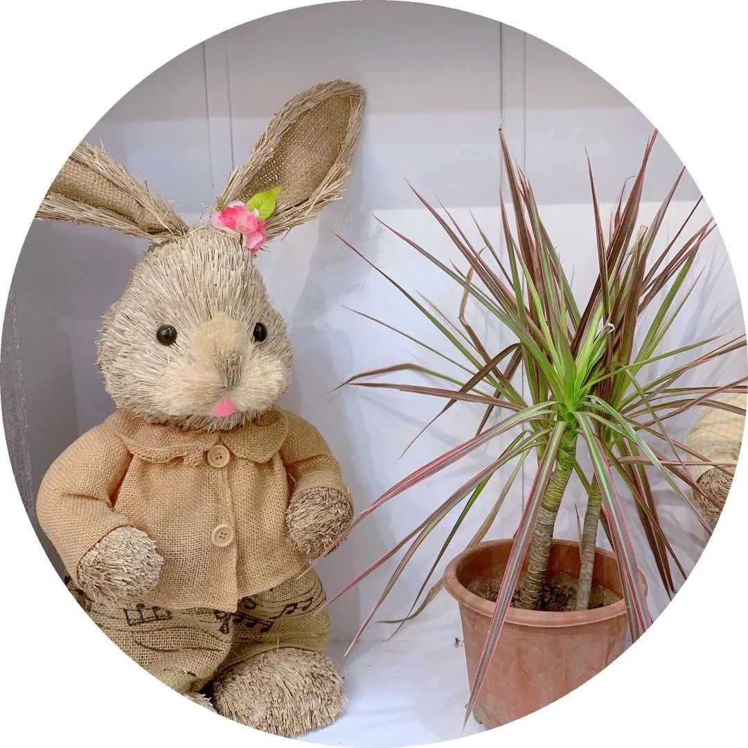 博思花藝婚慶教育，婚慶培訓(xùn)，花藝培訓(xùn)，插花培訓(xùn)，花藝師培訓(xùn)，主持人培訓(xùn)，商務(wù)主持人培訓(xùn)，花店運(yùn)營(yíng)培訓(xùn)，花店全系統(tǒng)營(yíng)銷，小白開(kāi)花店，小白學(xué)主持，金璽棠婚慶酒店，金璽棠總部，鄭州金麻雀教育科技有限公司