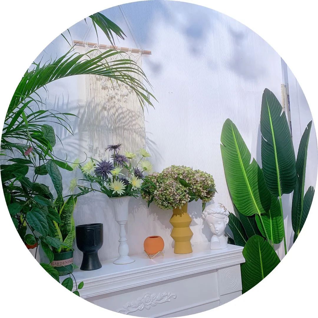 博思花藝婚慶教育，婚慶培訓(xùn)，花藝培訓(xùn)，插花培訓(xùn)，花藝師培訓(xùn)，主持人培訓(xùn)，商務(wù)主持人培訓(xùn)，花店運(yùn)營(yíng)培訓(xùn)，花店全系統(tǒng)營(yíng)銷，小白開(kāi)花店，小白學(xué)主持，金璽棠婚慶酒店，金璽棠總部，鄭州金麻雀教育科技有限公司