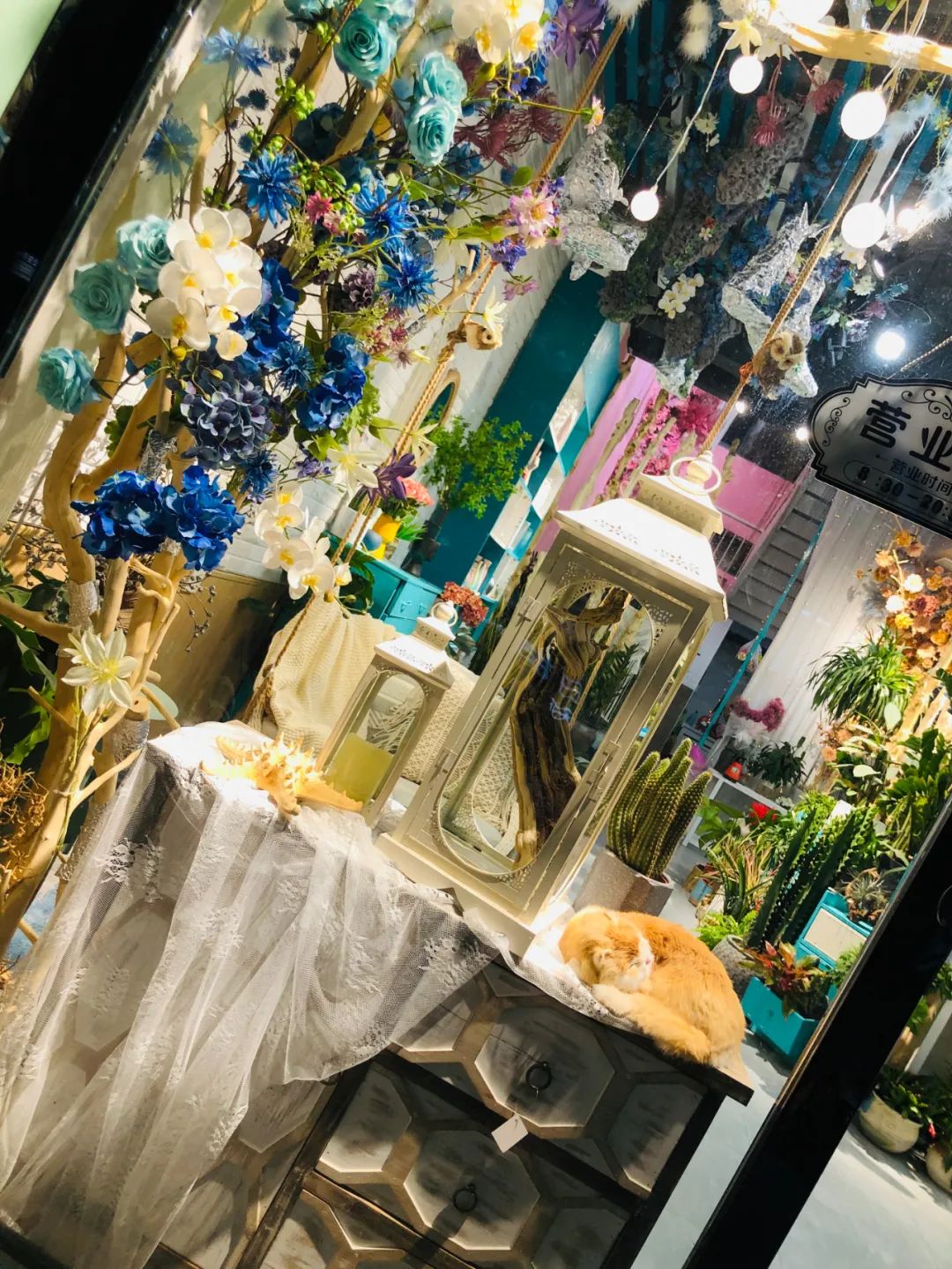 博思花藝婚慶教育，婚慶培訓(xùn)，花藝培訓(xùn)，插花培訓(xùn)，花藝師培訓(xùn)，主持人培訓(xùn)，商務(wù)主持人培訓(xùn)，花店運(yùn)營(yíng)培訓(xùn)，花店全系統(tǒng)營(yíng)銷，小白開(kāi)花店，小白學(xué)主持，金璽棠婚慶酒店，金璽棠總部，鄭州金麻雀教育科技有限公司