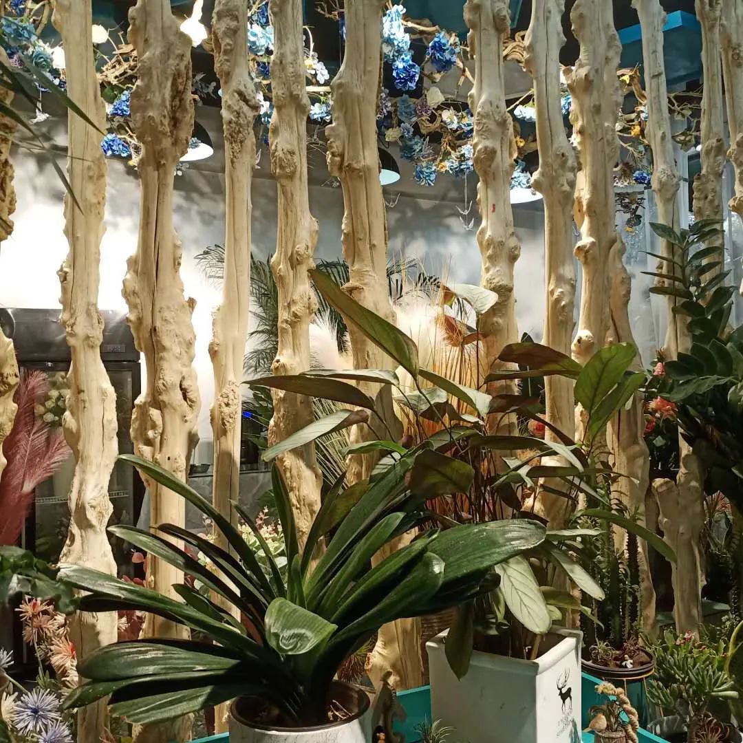 博思花藝婚慶教育，婚慶培訓(xùn)，花藝培訓(xùn)，插花培訓(xùn)，花藝師培訓(xùn)，主持人培訓(xùn)，商務(wù)主持人培訓(xùn)，花店運(yùn)營(yíng)培訓(xùn)，花店全系統(tǒng)營(yíng)銷，小白開(kāi)花店，小白學(xué)主持，金璽棠婚慶酒店，金璽棠總部，鄭州金麻雀教育科技有限公司