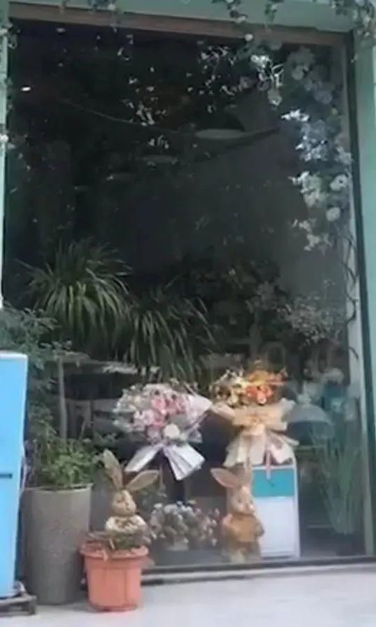 博思花藝婚慶教育，婚慶培訓(xùn)，花藝培訓(xùn)，插花培訓(xùn)，花藝師培訓(xùn)，主持人培訓(xùn)，商務(wù)主持人培訓(xùn)，花店運(yùn)營(yíng)培訓(xùn)，花店全系統(tǒng)營(yíng)銷，小白開(kāi)花店，小白學(xué)主持，金璽棠婚慶酒店，金璽棠總部，鄭州金麻雀教育科技有限公司