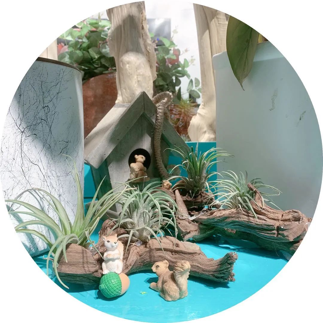 博思花藝婚慶教育，婚慶培訓(xùn)，花藝培訓(xùn)，插花培訓(xùn)，花藝師培訓(xùn)，主持人培訓(xùn)，商務(wù)主持人培訓(xùn)，花店運(yùn)營(yíng)培訓(xùn)，花店全系統(tǒng)營(yíng)銷，小白開(kāi)花店，小白學(xué)主持，金璽棠婚慶酒店，金璽棠總部，鄭州金麻雀教育科技有限公司