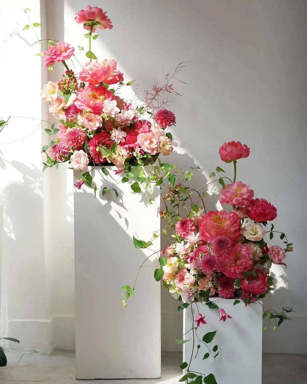 博思花藝婚慶教育，婚慶培訓(xùn)，花藝培訓(xùn)，插花培訓(xùn)，花藝師培訓(xùn)，主持人培訓(xùn)，商務(wù)主持人培訓(xùn)，花店運(yùn)營(yíng)培訓(xùn)，花店全系統(tǒng)營(yíng)銷，小白開(kāi)花店，小白學(xué)主持，金璽棠婚慶酒店，金璽棠總部，鄭州金麻雀教育科技有限公司