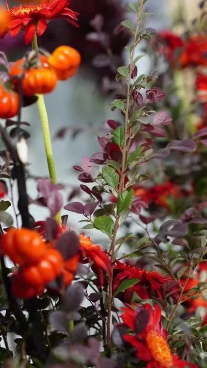 博思花藝婚慶教育，婚慶培訓(xùn)，花藝培訓(xùn)，插花培訓(xùn)，花藝師培訓(xùn)，主持人培訓(xùn)，商務(wù)主持人培訓(xùn)，花店運(yùn)營培訓(xùn)，花店全系統(tǒng)營銷，小白開花店，小白學(xué)主持，金璽棠婚慶酒店，金璽棠總部，鄭州金麻雀教育科技有限公司