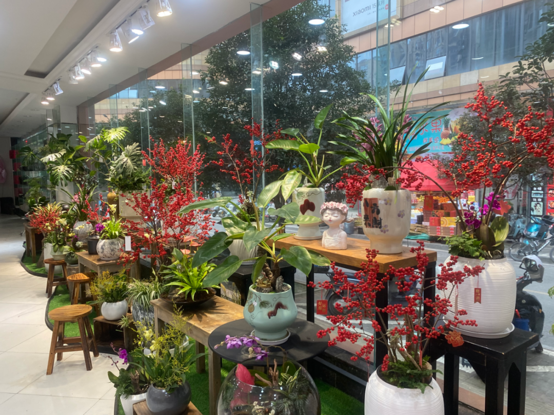 博思花藝婚慶教育，婚慶培訓(xùn)，花藝培訓(xùn)，插花培訓(xùn)，花藝師培訓(xùn)，主持人培訓(xùn)，商務(wù)主持人培訓(xùn)，花店運(yùn)營培訓(xùn)，花店全系統(tǒng)營銷，小白開花店，小白學(xué)主持，金璽棠婚慶酒店，金璽棠總部，鄭州金麻雀教育科技有限公司