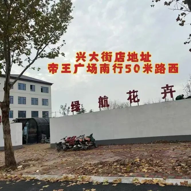 博思花藝婚慶教育，婚慶培訓(xùn)，花藝培訓(xùn)，插花培訓(xùn)，花藝師培訓(xùn)，主持人培訓(xùn)，商務(wù)主持人培訓(xùn)，花店運(yùn)營(yíng)培訓(xùn)，花店全系統(tǒng)營(yíng)銷(xiāo)，小白開(kāi)花店，小白學(xué)主持，金璽棠婚慶酒店，金璽棠總部，鄭州金麻雀教育科技有限公司