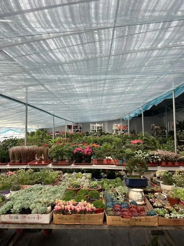 博思花藝婚慶教育，婚慶培訓(xùn)，花藝培訓(xùn)，插花培訓(xùn)，花藝師培訓(xùn)，主持人培訓(xùn)，商務(wù)主持人培訓(xùn)，花店運(yùn)營(yíng)培訓(xùn)，花店全系統(tǒng)營(yíng)銷(xiāo)，小白開(kāi)花店，小白學(xué)主持，金璽棠婚慶酒店，金璽棠總部，鄭州金麻雀教育科技有限公司