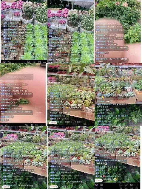 博思花藝婚慶教育，婚慶培訓(xùn)，花藝培訓(xùn)，插花培訓(xùn)，花藝師培訓(xùn)，主持人培訓(xùn)，商務(wù)主持人培訓(xùn)，花店運(yùn)營(yíng)培訓(xùn)，花店全系統(tǒng)營(yíng)銷(xiāo)，小白開(kāi)花店，小白學(xué)主持，金璽棠婚慶酒店，金璽棠總部，鄭州金麻雀教育科技有限公司