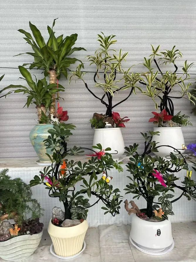 博思花藝婚慶教育，婚慶培訓(xùn)，花藝培訓(xùn)，插花培訓(xùn)，花藝師培訓(xùn)，主持人培訓(xùn)，商務(wù)主持人培訓(xùn)，花店運(yùn)營(yíng)培訓(xùn)，花店全系統(tǒng)營(yíng)銷(xiāo)，小白開(kāi)花店，小白學(xué)主持，金璽棠婚慶酒店，金璽棠總部，鄭州金麻雀教育科技有限公司