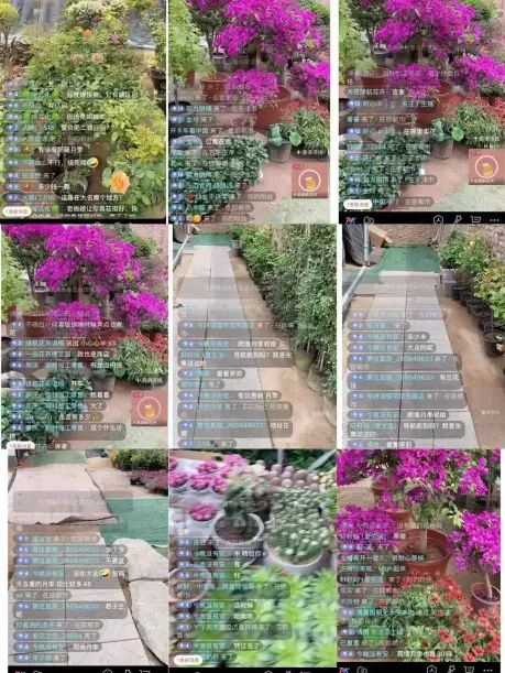 博思花藝婚慶教育，婚慶培訓(xùn)，花藝培訓(xùn)，插花培訓(xùn)，花藝師培訓(xùn)，主持人培訓(xùn)，商務(wù)主持人培訓(xùn)，花店運(yùn)營(yíng)培訓(xùn)，花店全系統(tǒng)營(yíng)銷(xiāo)，小白開(kāi)花店，小白學(xué)主持，金璽棠婚慶酒店，金璽棠總部，鄭州金麻雀教育科技有限公司