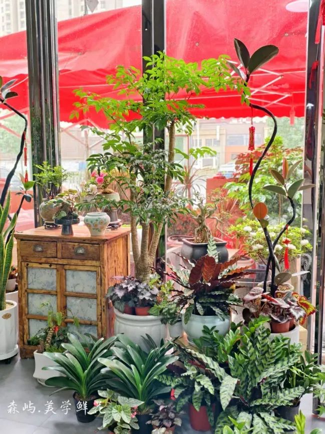 博思花藝婚慶教育，婚慶培訓，花藝培訓，插花培訓，花藝師培訓，主持人培訓，商務主持人培訓，花店運營培訓，花店全系統(tǒng)營銷，小白開花店，小白學主持，金璽棠婚慶酒店，金璽棠總部，鄭州金麻雀教育科技有限公司