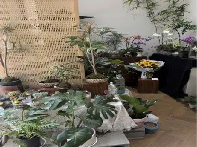 博思花藝婚慶教育，婚慶培訓(xùn)，花藝培訓(xùn)，插花培訓(xùn)，花藝師培訓(xùn)，主持人培訓(xùn)，商務(wù)主持人培訓(xùn)，花店運(yùn)營(yíng)培訓(xùn)，花店全系統(tǒng)營(yíng)銷(xiāo)，小白開(kāi)花店，小白學(xué)主持，金璽棠婚慶酒店，金璽棠總部，鄭州金麻雀教育科技有限公司